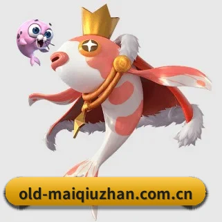 买球站 APP